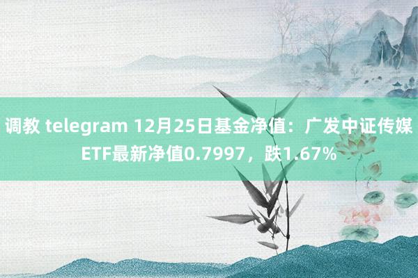 调教 telegram 12月25日基金净值：广发中证传媒ETF最新净值0.7997，跌1.67%