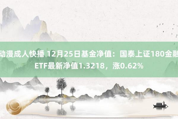 动漫成人快播 12月25日基金净值：国泰上证180金融ETF最新净值1.3218，涨0.62%