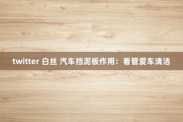 twitter 白丝 汽车挡泥板作用：看管爱车清洁