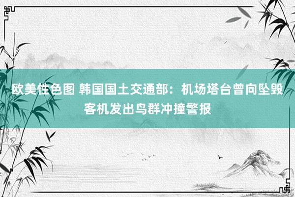 欧美性色图 韩国国土交通部：机场塔台曾向坠毁客机发出鸟群冲撞警报