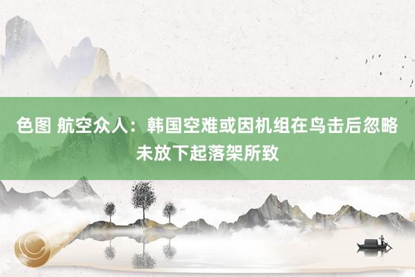 色图 航空众人：韩国空难或因机组在鸟击后忽略未放下起落架所致