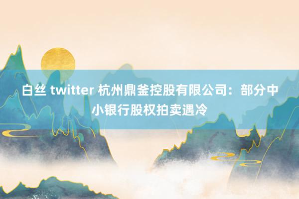 白丝 twitter 杭州鼎釜控股有限公司：部分中小银行股权拍卖遇冷