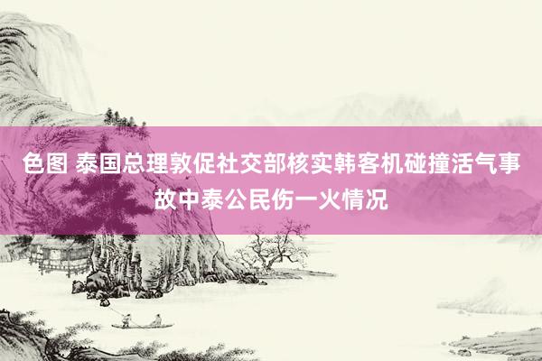 色图 泰国总理敦促社交部核实韩客机碰撞活气事故中泰公民伤一火情况