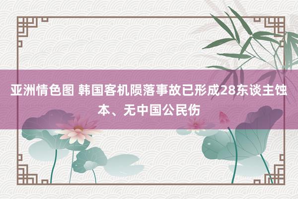 亚洲情色图 韩国客机陨落事故已形成28东谈主蚀本、无中国公民伤