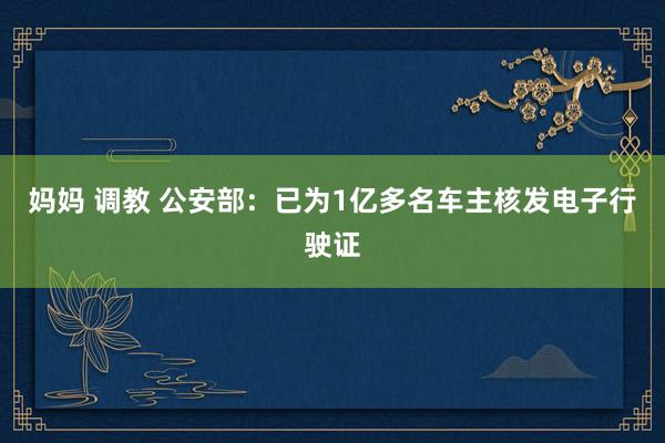 妈妈 调教 公安部：已为1亿多名车主核发电子行驶证