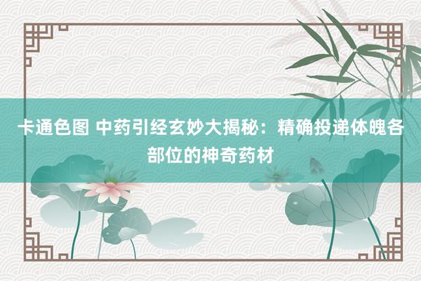 卡通色图 中药引经玄妙大揭秘：精确投递体魄各部位的神奇药材