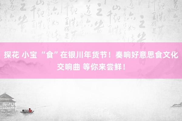 探花 小宝 “食”在银川年货节！奏响好意思食文化交响曲 等你来尝鲜！