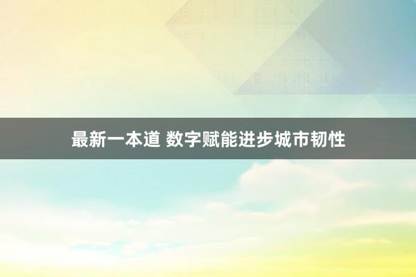 最新一本道 数字赋能进步城市韧性