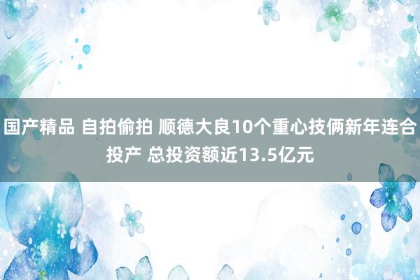 国产精品 自拍偷拍 顺德大良10个重心技俩新年连合投产 总投资额近13.5亿元