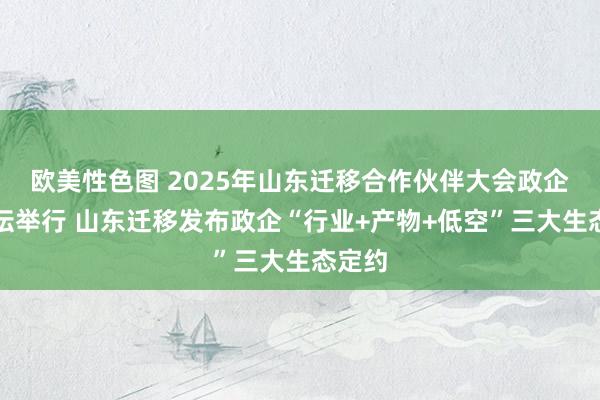 欧美性色图 2025年山东迁移合作伙伴大会政企分论坛举行 山东迁移发布政企“行业+产物+低空”三大生态定约