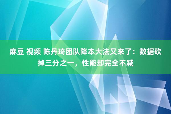 麻豆 视频 陈丹琦团队降本大法又来了：数据砍掉三分之一，性能却完全不减