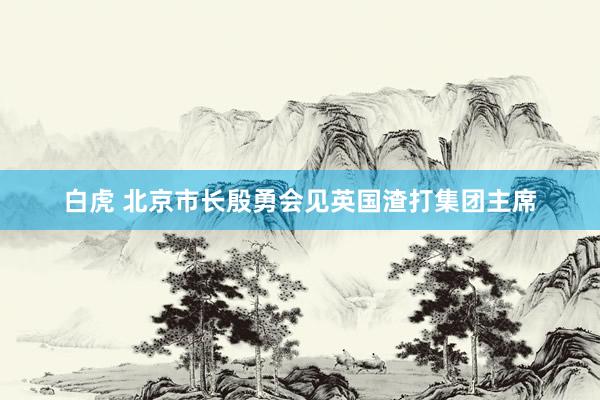 白虎 北京市长殷勇会见英国渣打集团主席