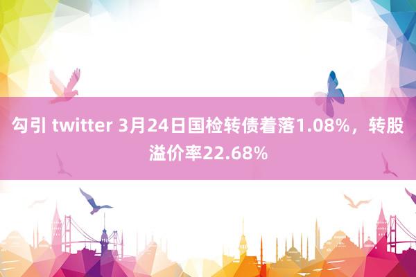 勾引 twitter 3月24日国检转债着落1.08%，转股溢价率22.68%